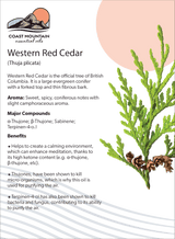 Western Red Cedar Essential Oil 5ml