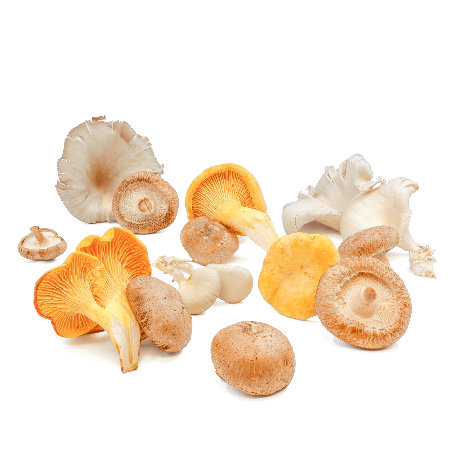 Fresh - Wild Mushrooms