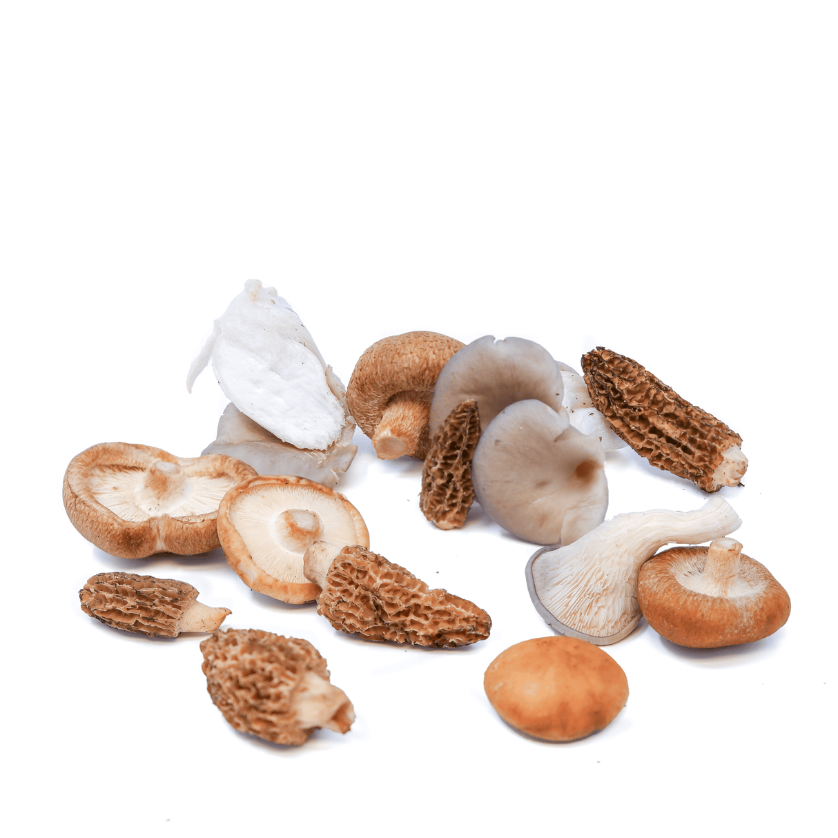 The Perfect Chef's Blend