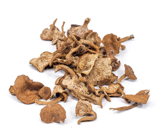 Dried Candy Cap