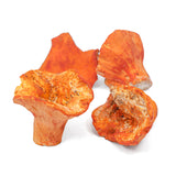 Dried Lobster Mushroom