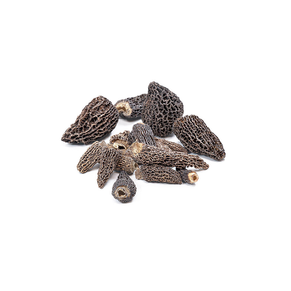 Dried Wild Morel (Origin: Canada/ USA)