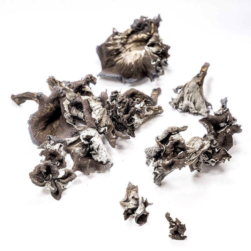 Dried Black Trumpet