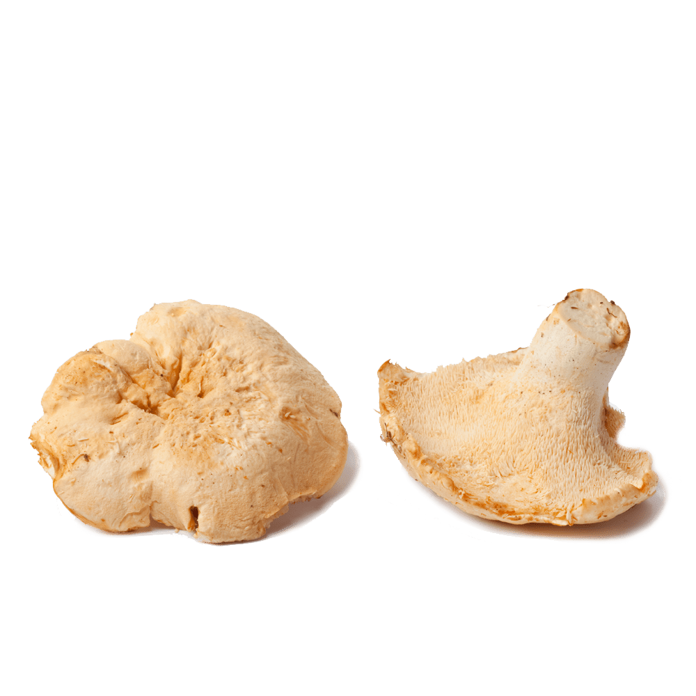 Specialty Food Box West Coast Wild Foods