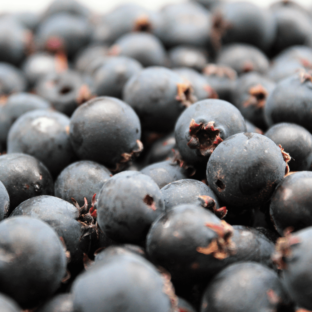 Frozen Saskatoon Berries