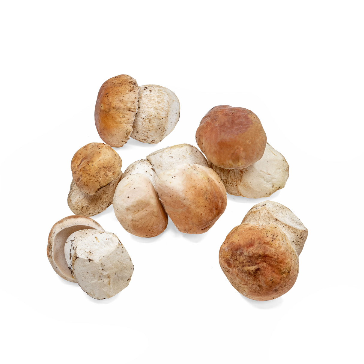 Frozen Porcini  (Origin: USA/ Canada)