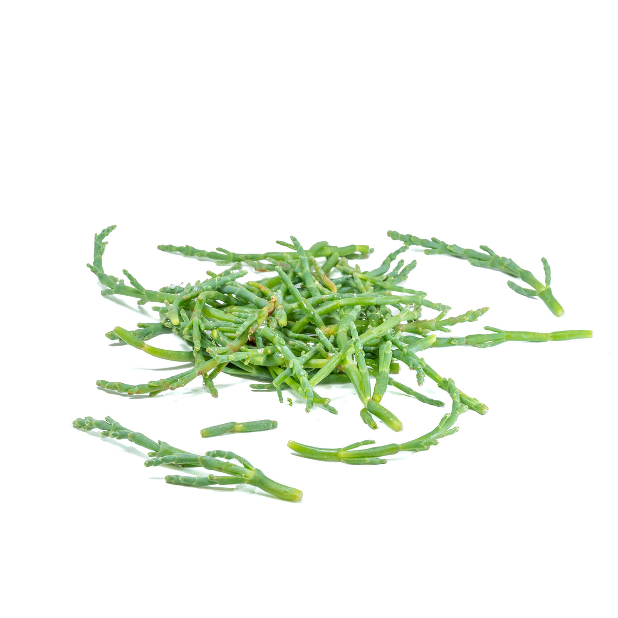 Frozen Sea Asparagus / Sea Beans