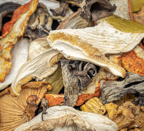 Dried Wild Mushroom Mix