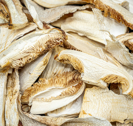 Dried Pine Mushroom