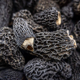 Dried Wild Morel (Origin: Canada/ USA)