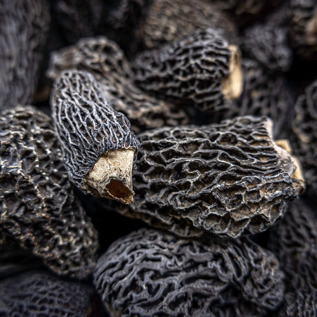 Dried Wild Morel (Origin: Canada/ USA)