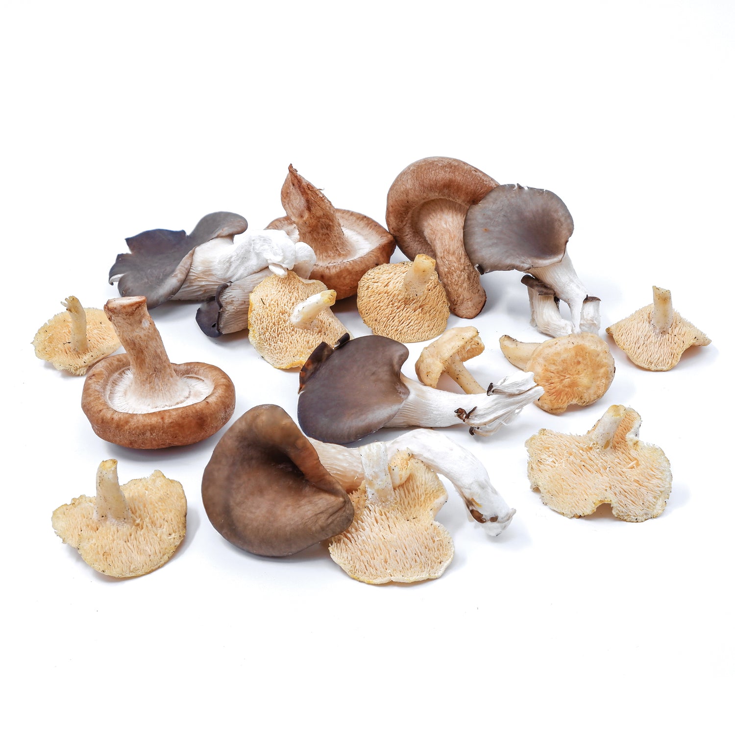 Fresh - Wild Mushrooms