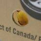 Fresh Wild Golden Chanterelle Mushrooms - (Origin - For Canada-BC / For The U.S - Washington)