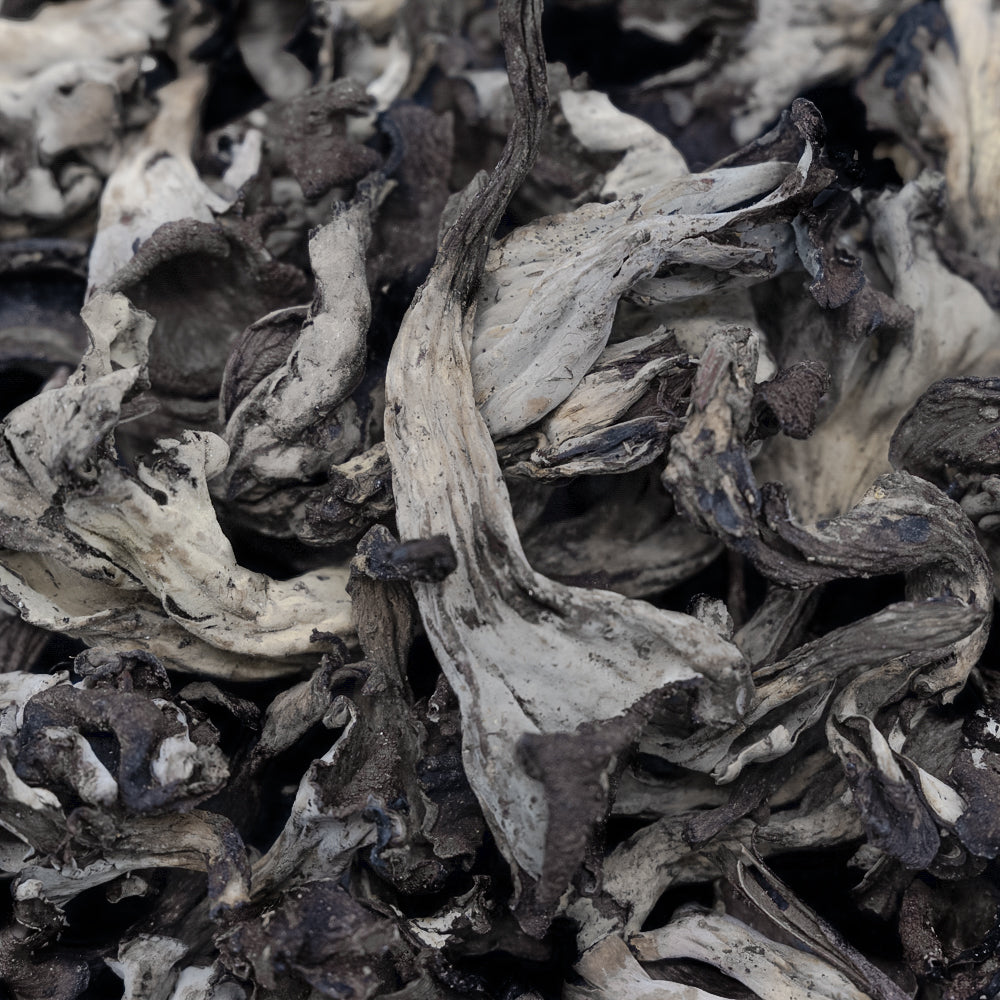 Dried Black Trumpet