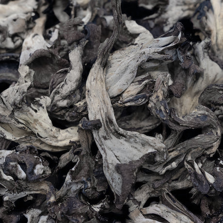 Dried Black Trumpet