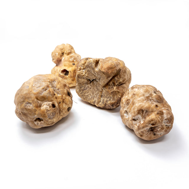 Bianchetto Truffle